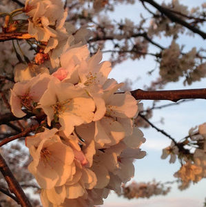 Meet your Posher, Patti